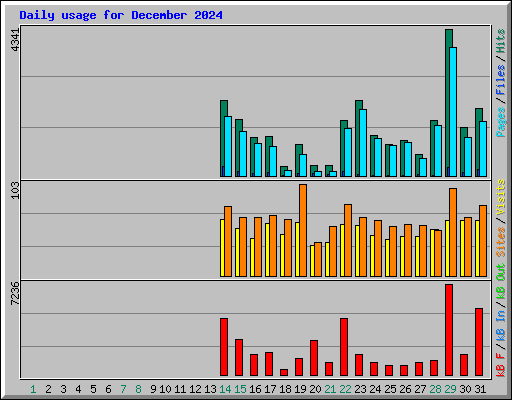 Daily usage for December 2024