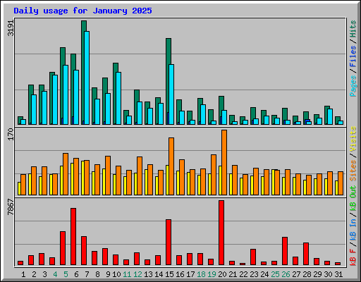 Daily usage for January 2025