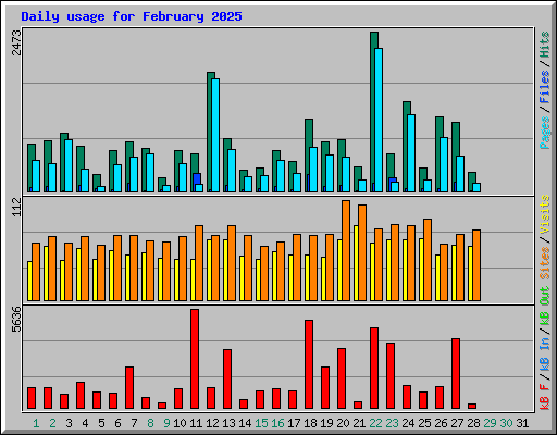 Daily usage for February 2025