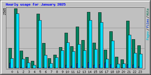 Hourly usage for January 2025