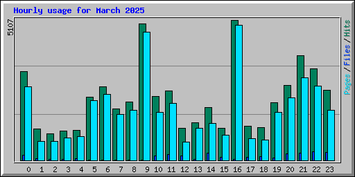 Hourly usage for March 2025