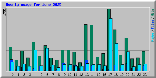 Hourly usage for June 2025