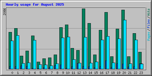 Hourly usage for August 2025